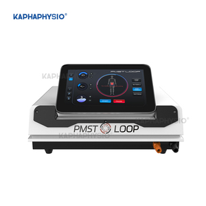 Mới Đến Pemf Điều Trị Từ Tính Thiết Bị Ngựa Bảo Đảm Pmst Vòng Pro Max Pemf Sâu Dao Động Cho Con Người Và Ngựa - Product Image 2