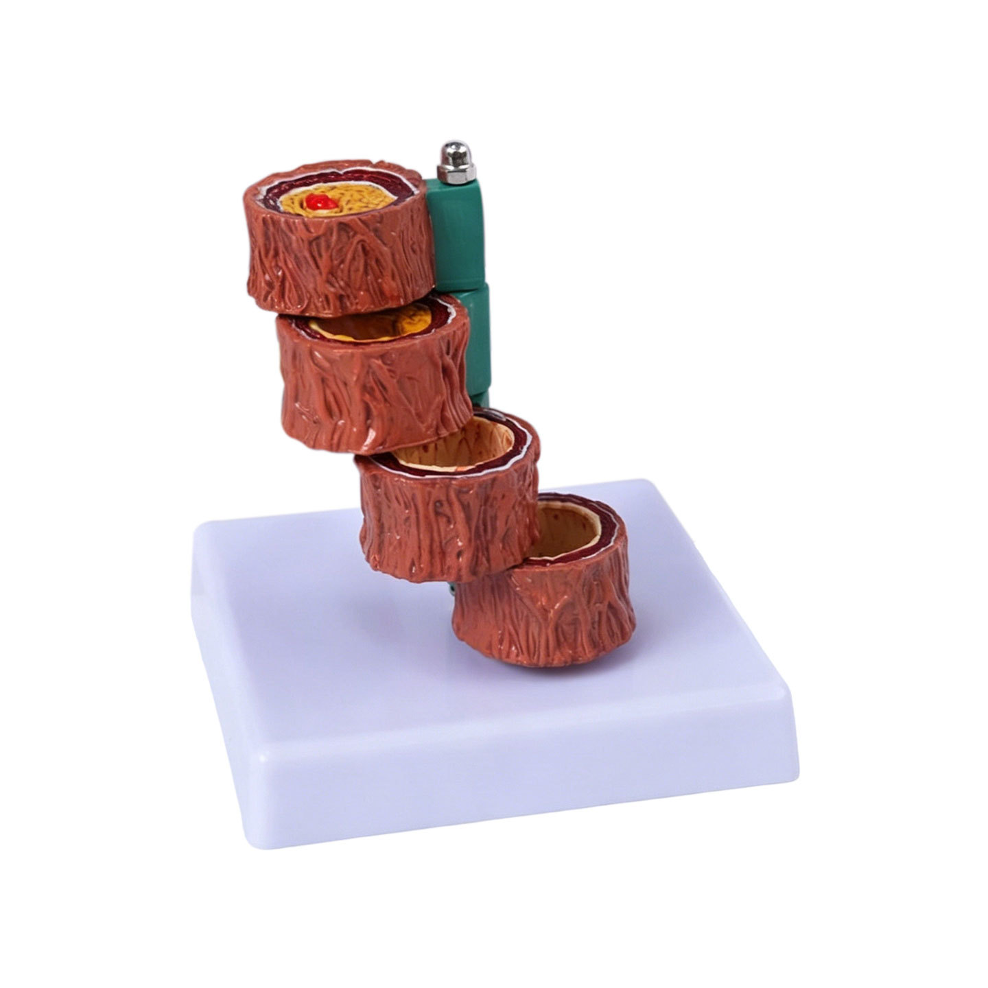 Four-segment vessel