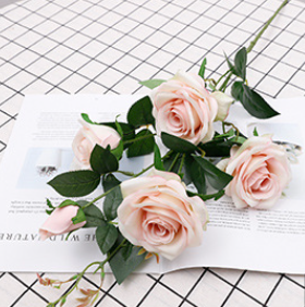 สีชมพูอ่อน