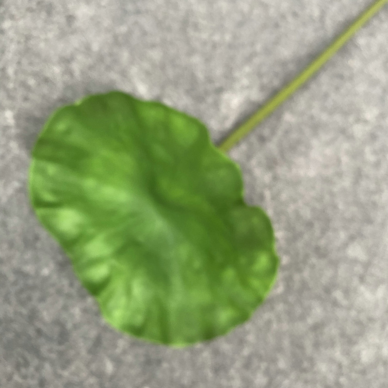 17# New no 3 lotus leaf