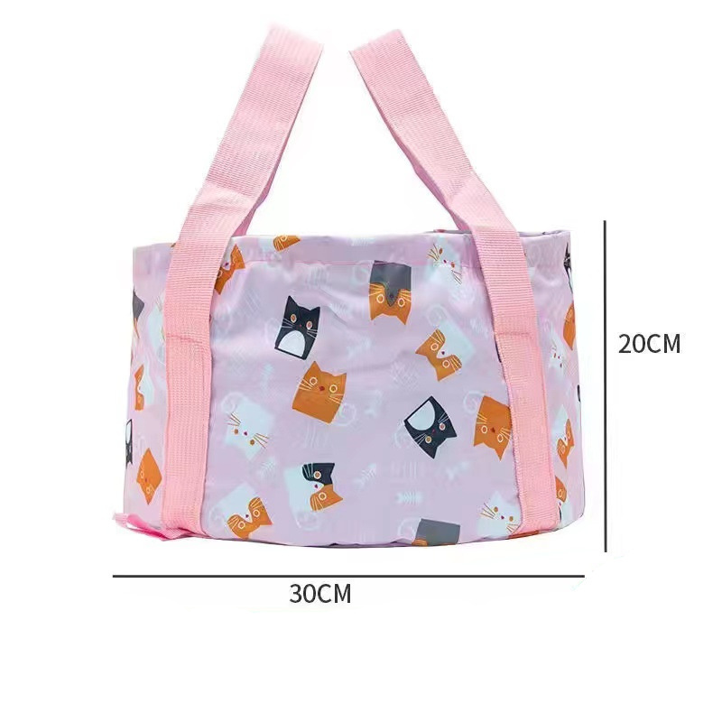 Medium-sized pink cat