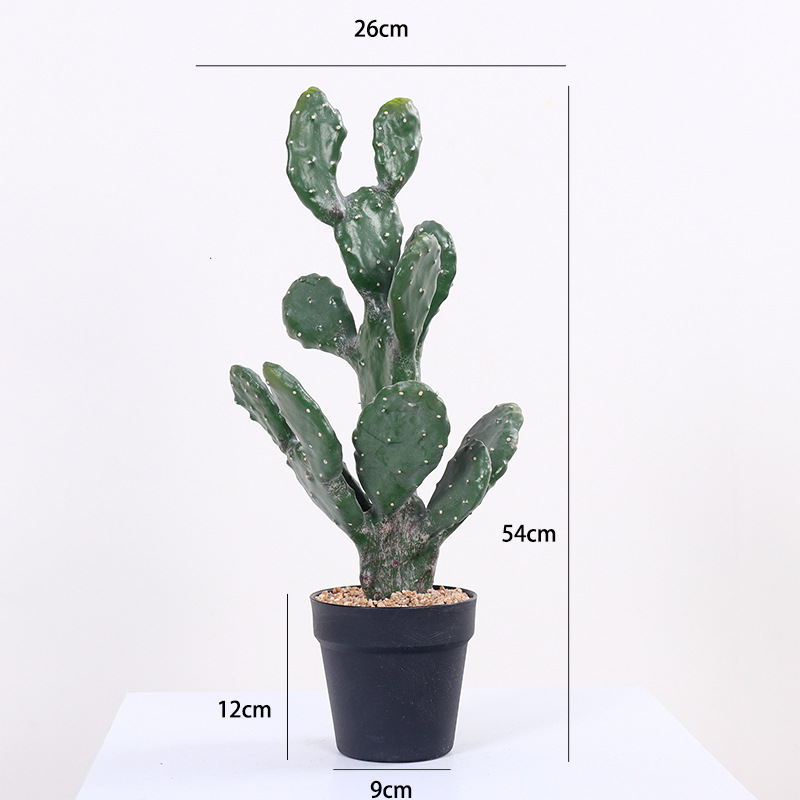 54cm