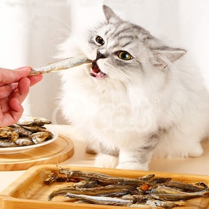 القط الأسماك الجافة قسط يعامل غنية في نكهة غنية في التغذية حار بيع القط يعامل الجملة عالية البروتين المجففة الغذاء الحيوانات الأليفة - Product Image 2