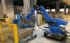 YASKAWA Robot casi di applicazione in carico e scarico pallettizzazione stampaggio a iniezione di stampaggio a caldo stampaggio a spruzzo - Product Image 3