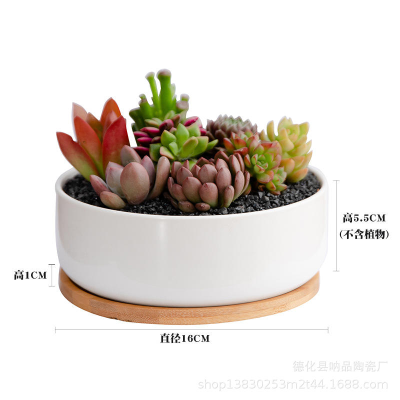 Assiette ronde en porcelaine blanche