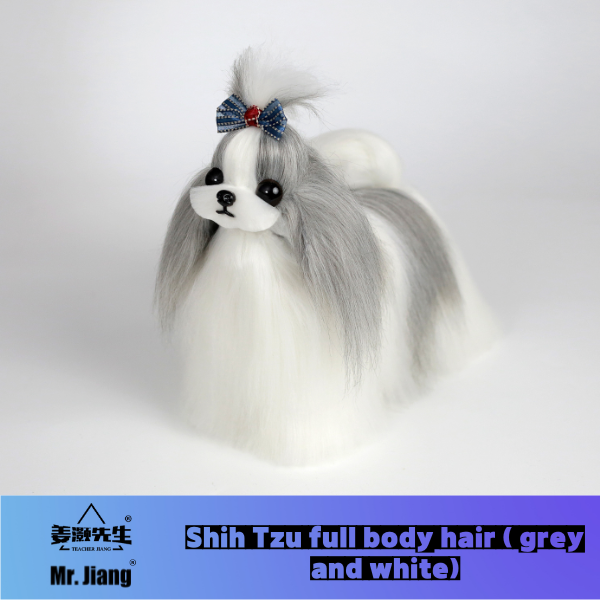 Shih Tzu, poils du corps entier gris et blancs