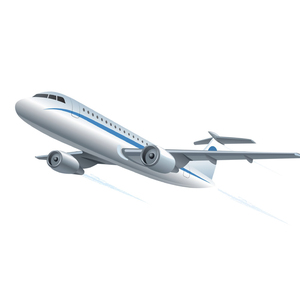Agile Shipping Agent for South Africa <strong>Offering</strong> Non-Stop <strong>Flights</strong>, Fast Timeframe and 1688 Purchase Agent - Product Image 3