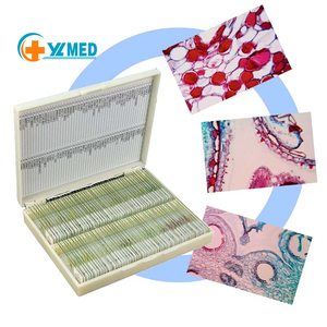 Professional Basic <strong>Slides</strong> Connective Bean Leaf Prepared <strong>Microscope</strong> <strong>Slide</strong> with Great Price for Medical Science Prepared <strong>Slides</strong> - Product Image 1