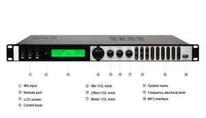 Berase yüksek kaliteli dsp karaoke İşlemci mikser ses işlemcisi vokal etkileri işlemci - Product Image 2