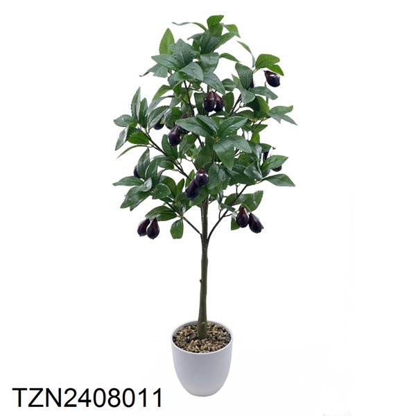 Vert-TZN2408011