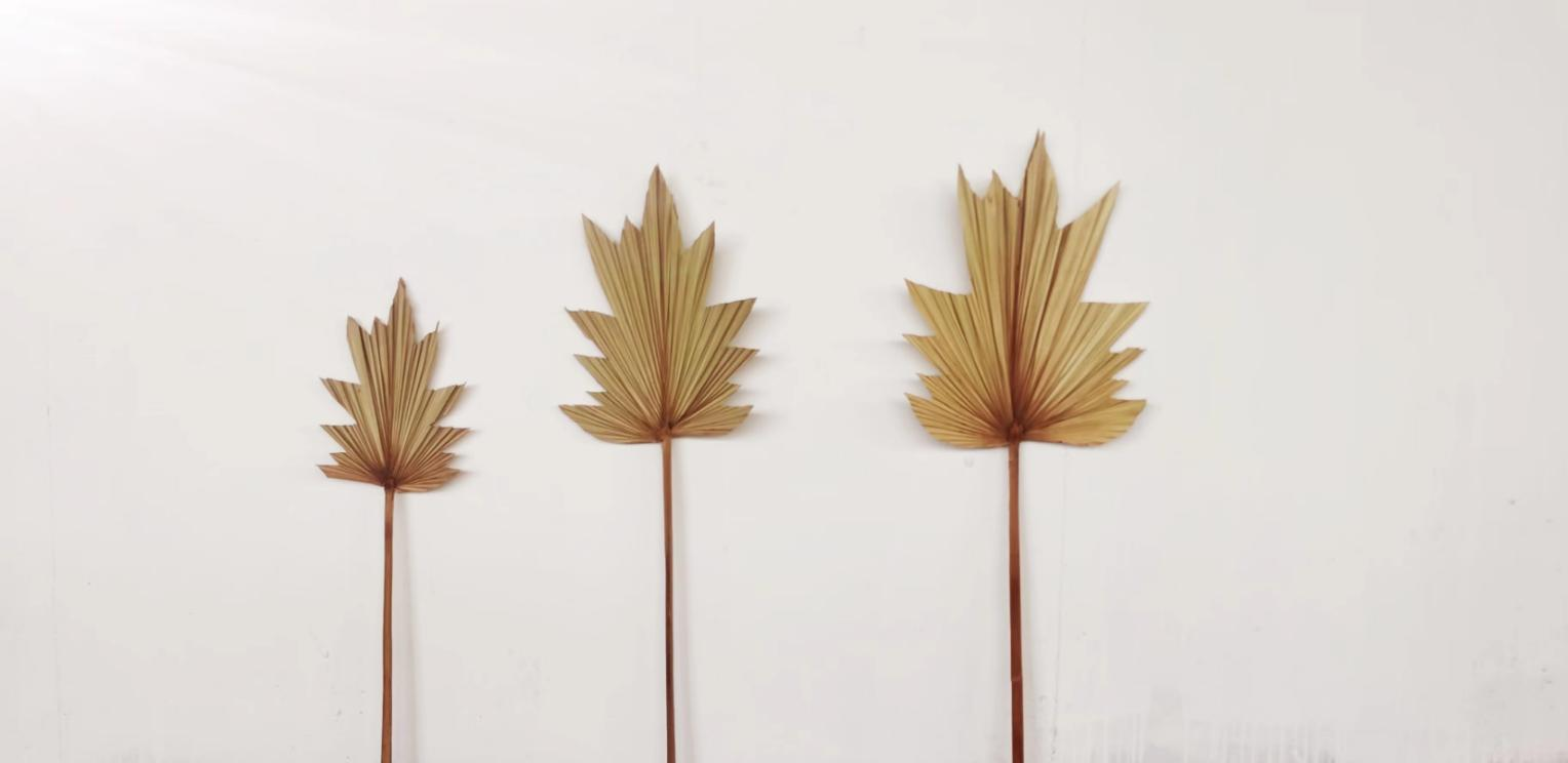 Forme d'arbre
