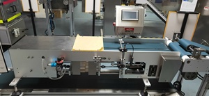 L máquina de pesaje dinámica en línea totalmente automática combinación de correa de máquina clasificadora de peso de alta precisión - Product Image 2