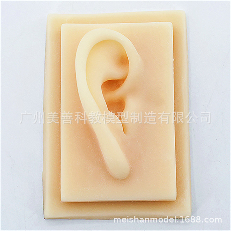 Une oreille en silicone (oreille droite)