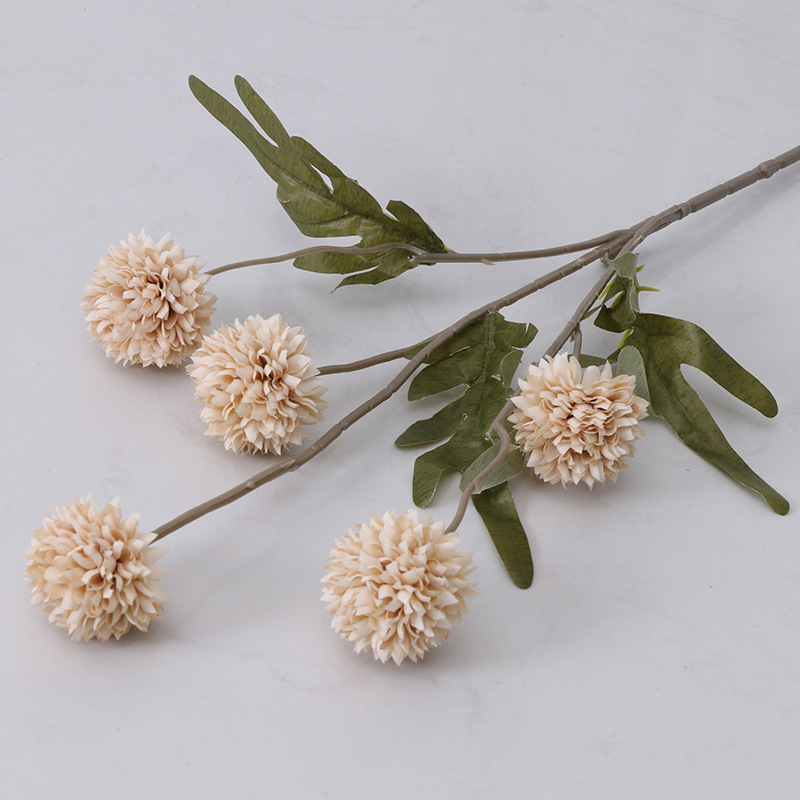 5 small ball chrysanthemums - light brown color