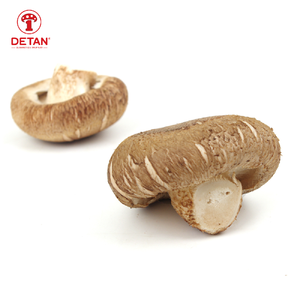 China Export Fresh <strong>Shiitake</strong> Mushroom Reishi <strong>Shiitake</strong> - Product Image 6