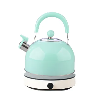 Fabrik preis Induktion Schneller Kaffee Wasserkocher Edelstahl Smart Hot Electric Whistling Tea Kettle