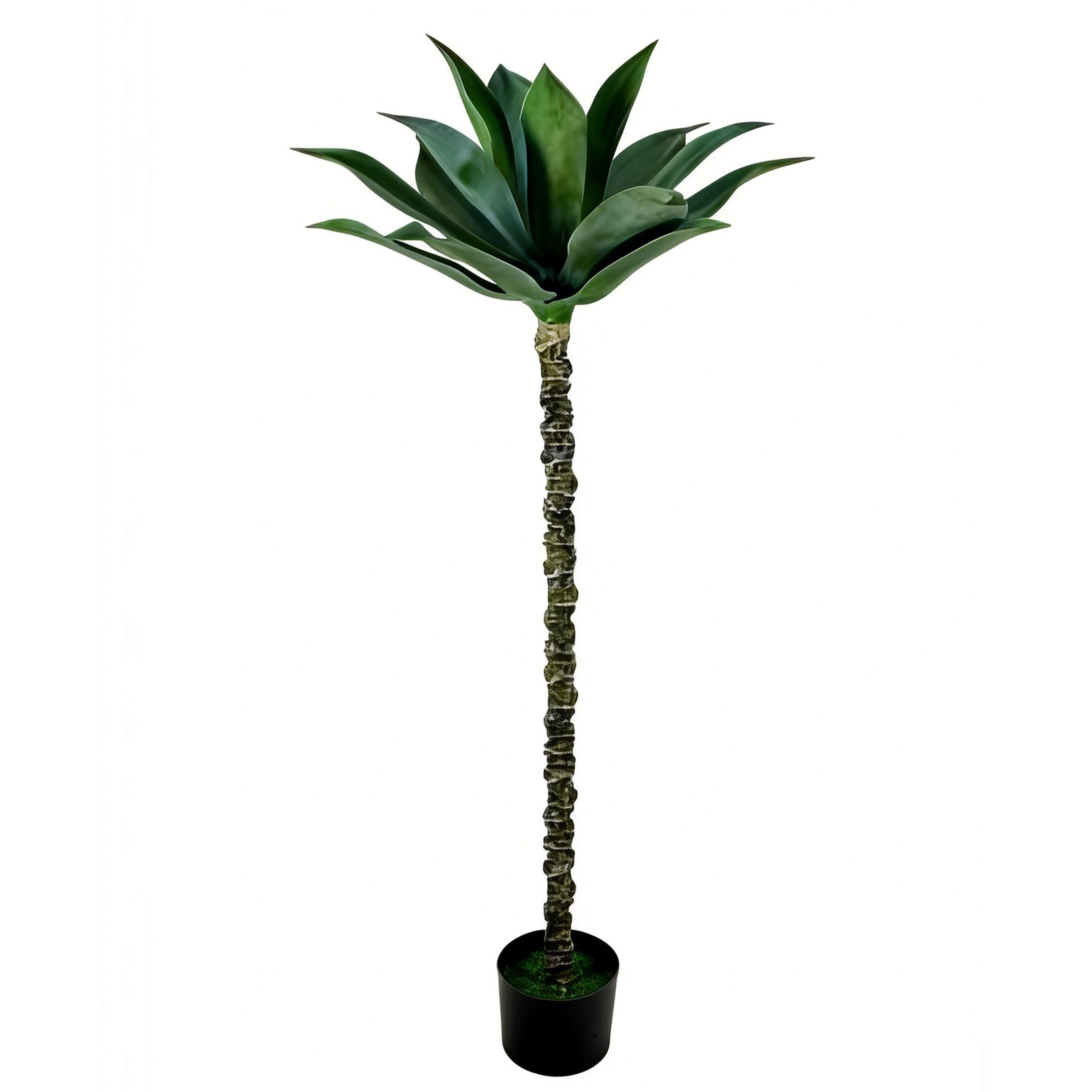 150cm