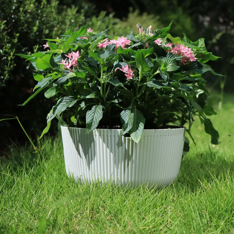 Atacado Jardim Suculento Plástico Pendurado Flower Pot Cestas Suspensão Plantadores de parede para plantas ao ar livre Com Correntes