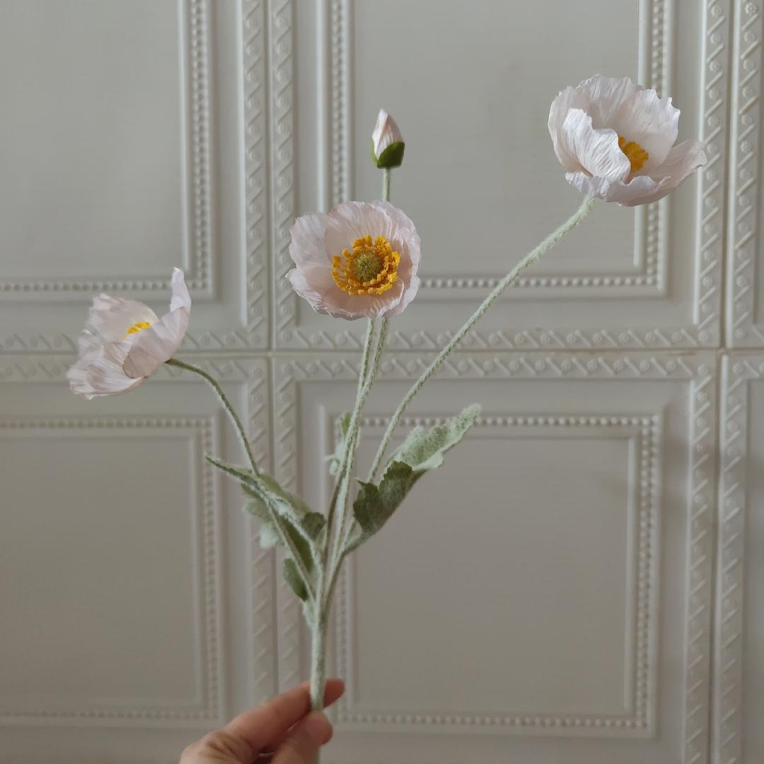 Poudre de gelée glacée