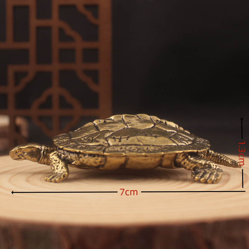 Longevity Turtle