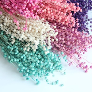 ดอกไม้แห้งจากเมล็ดอะคาเซียสำหรับตกแต่งสไตล์โบโฮผลิตจากยูนนาน - Product Image 6