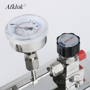 超高純度EPグレード減圧装置入力圧力600psi出力圧力100psi - Product Image 4