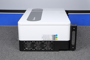 Growatt逆变器100KW 110KW 120KW功率低频并网三相太阳能逆变器商用太阳能系统逆变器 - Product Image 6