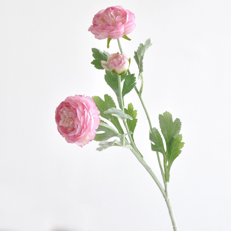 Pink purple