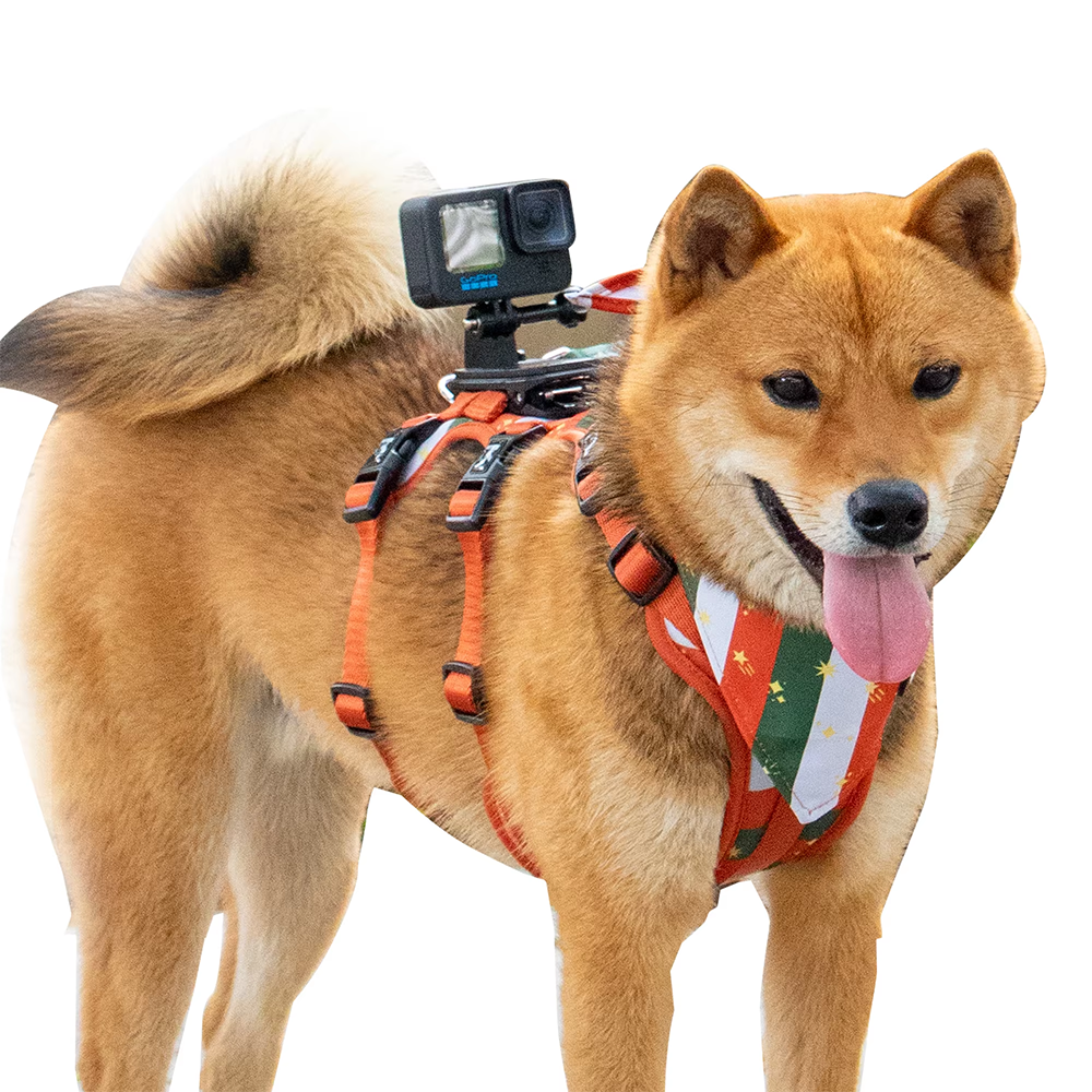 Noël et britannique