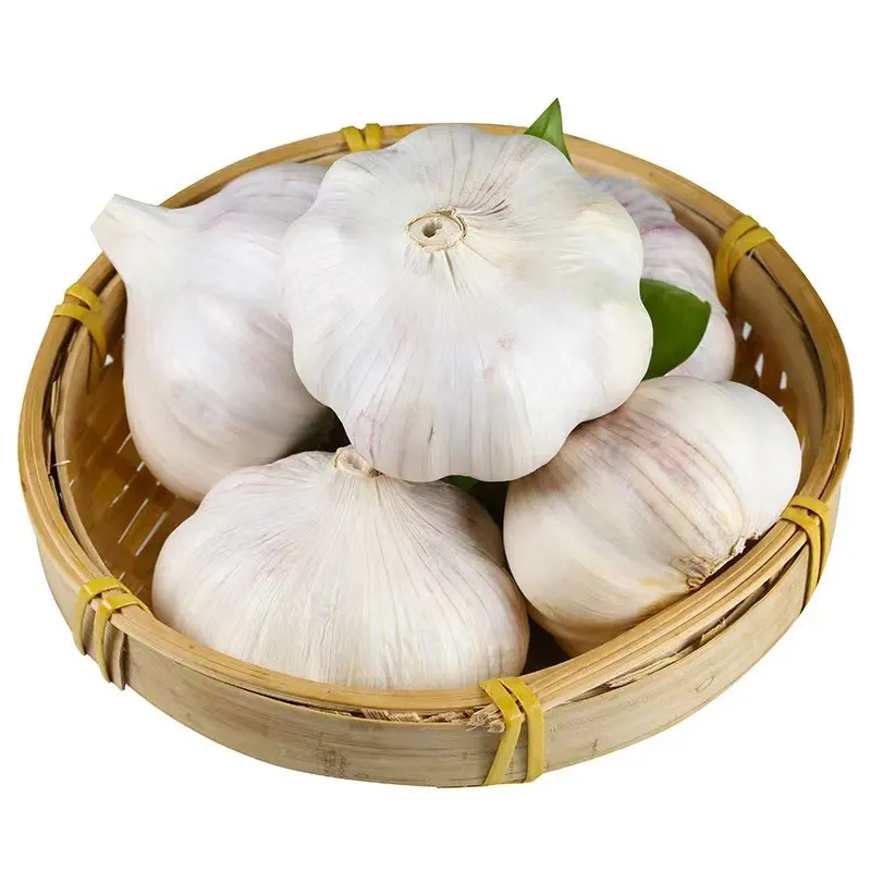 Fresh chinese garlic wholesale export preferential price and high quality
