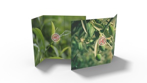 定制传单海报制作订购页面折叠页面书籍菜单印刷 - Product Image 4