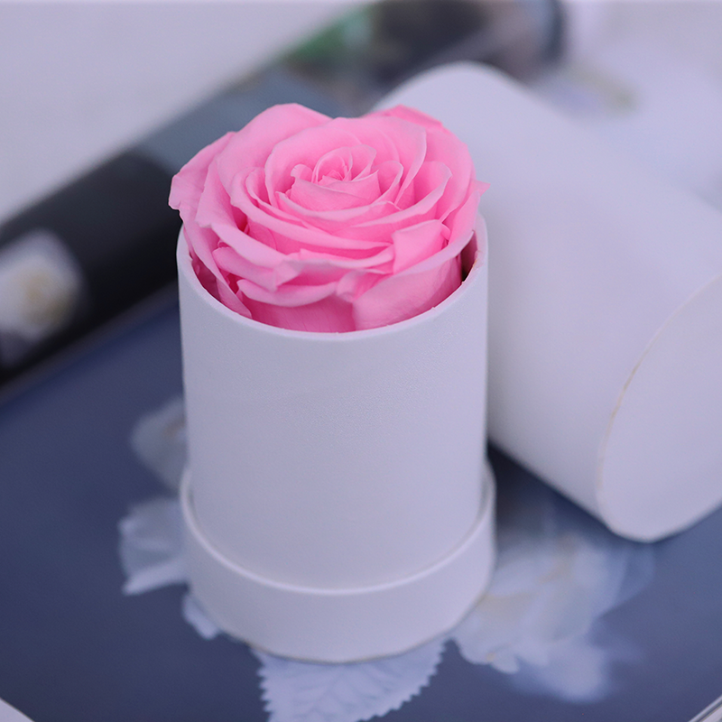 1 rose rose dans une boîte ronde blanche