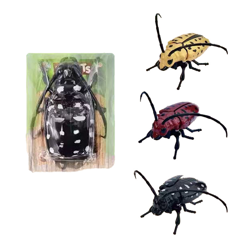 Chaîne sur beurn-noir