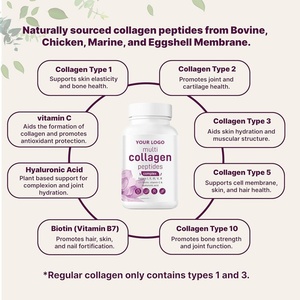 OEM/ODM 8 in 1 Multi <strong>Collagen</strong> Capsules - Hydrolyzed <strong>Collagen</strong> Peptides of Types I, II, III, V, X - Product Image 3