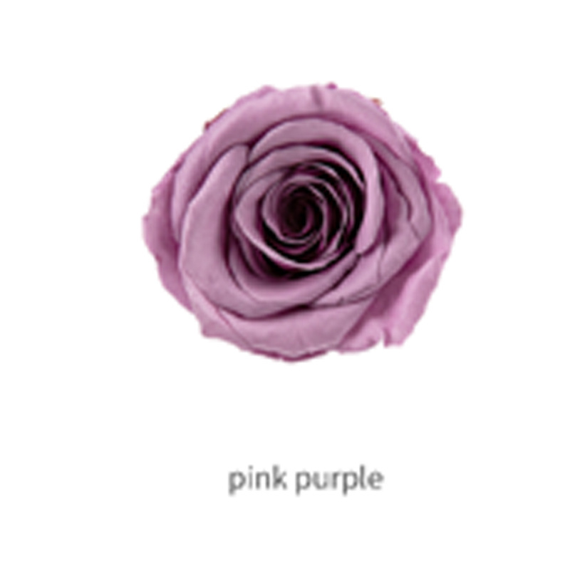Rosa Púrpura Grado B 8 Flores
