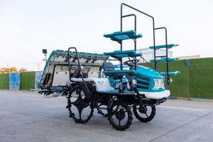 8 satır pirinç çeltik pirinç dikim makinesi otomatik işletilen tarım pirinç fidesi dikme makinesi - Product Image 4
