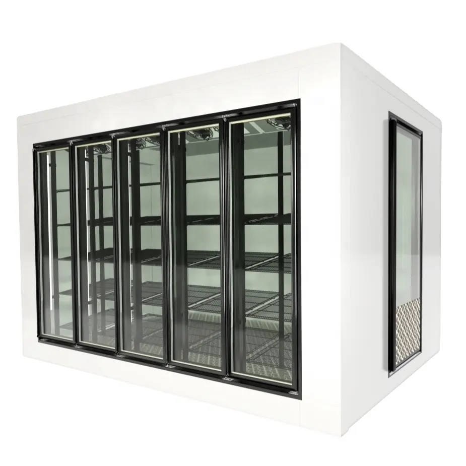 Porta di vetro commerciale del congelatore del frigorifero dell'esposizione all'ingrosso della fabbrica con gli scaffali, la dimensione può essere personalizzata