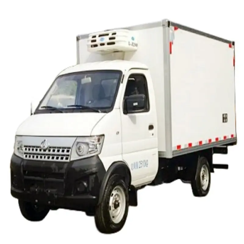 Changan 1 tonnellata capacità di carico freezer refrigerato camion scivolo in camion refrigerati corpi per la vendita
