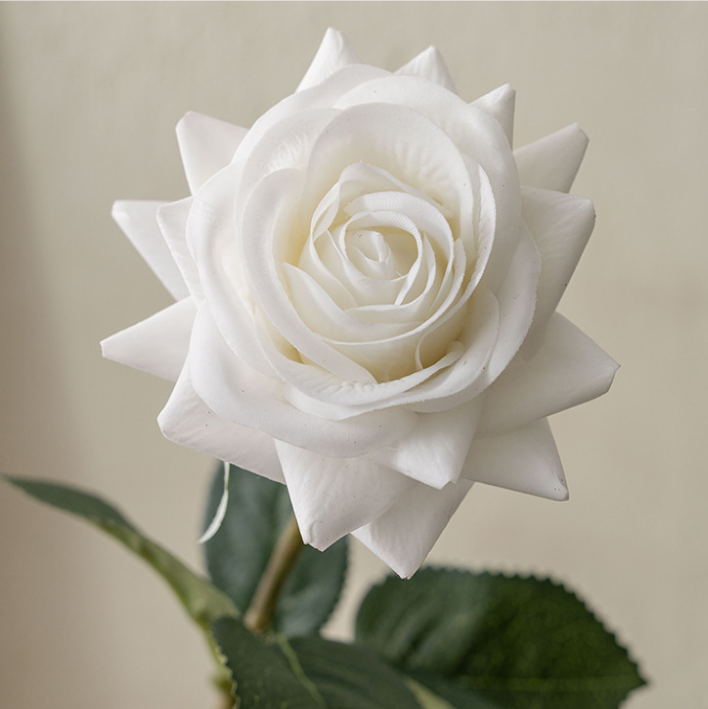 Blanc