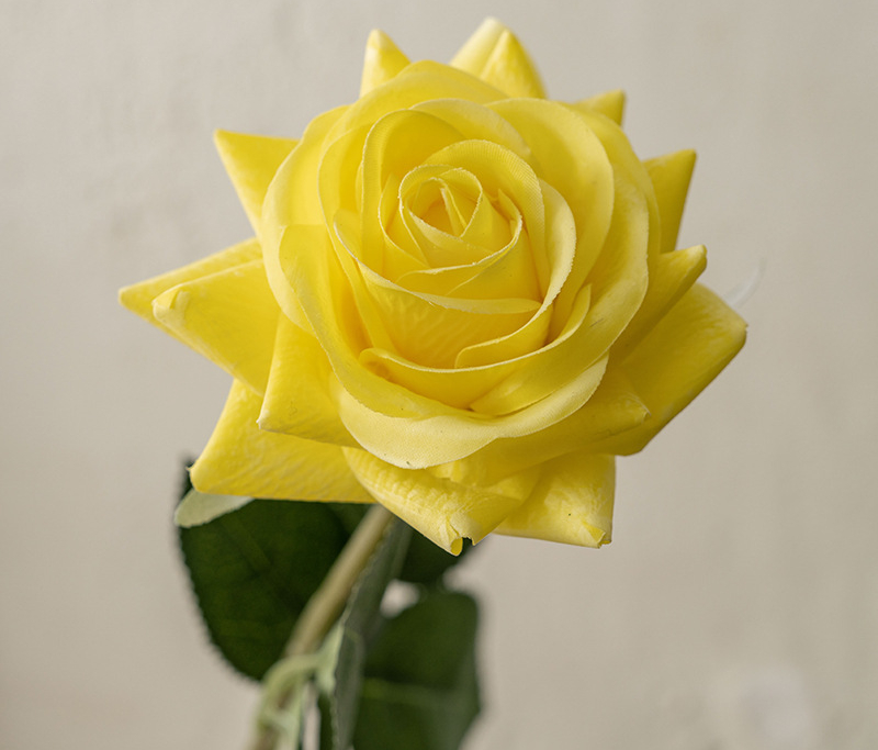 Jaune