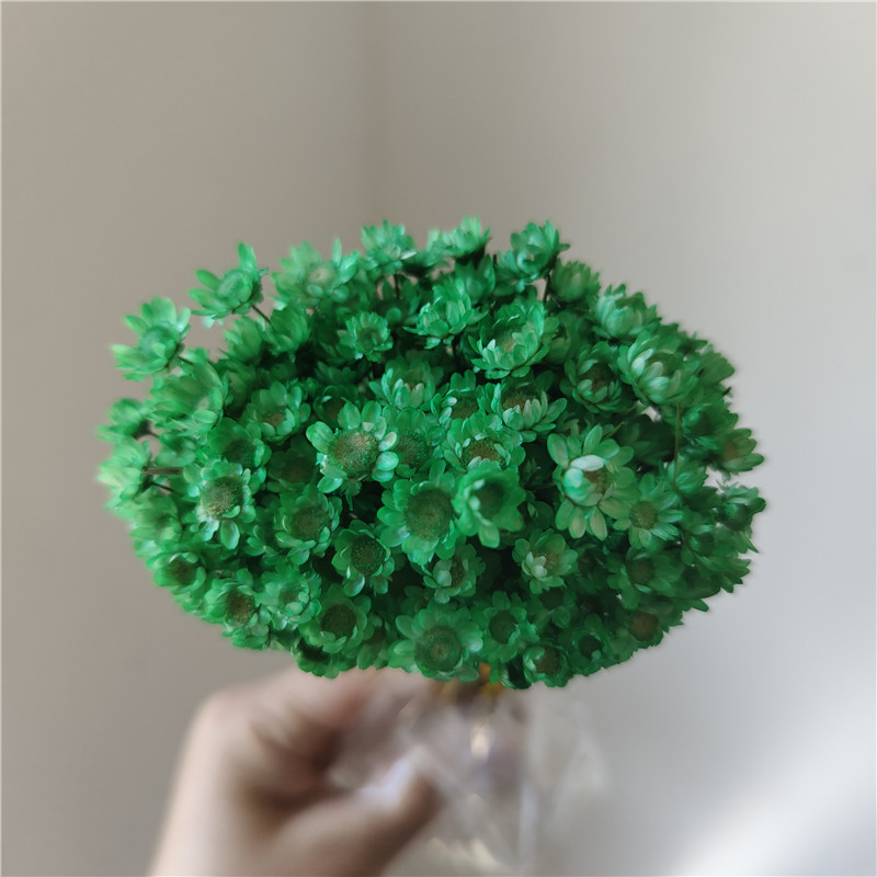 50 stems - green