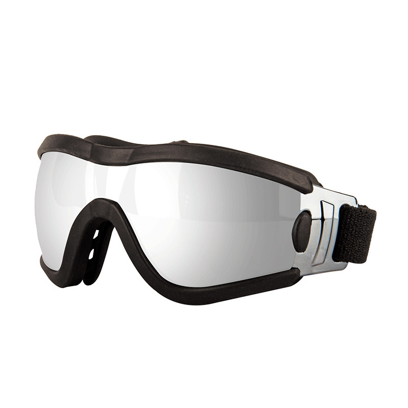 Lunettes pour animaux de compagnie - monture noire, verres argentés