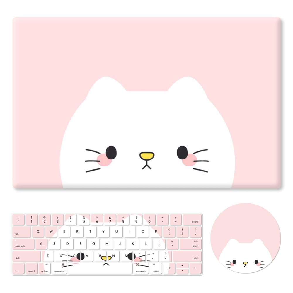 Chat mignon