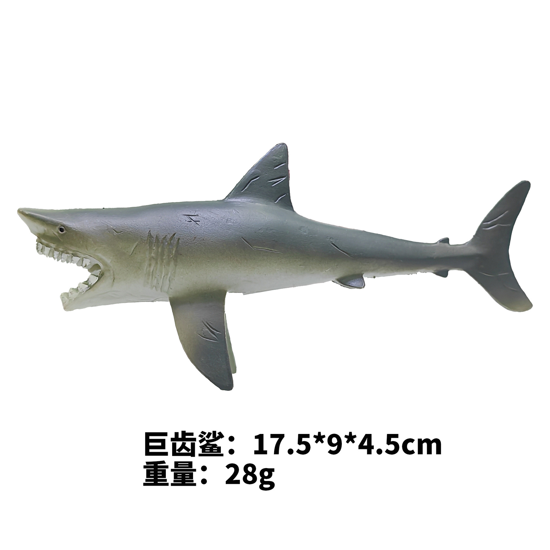 Megalodon