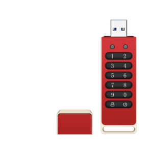 Best Selling Digital USB <strong>Flash</strong> Disk AES256-bit Hardware Password <strong>Encrypted</strong> USB <strong>Memory</strong> Stick OEM ODM OBM Customization DIY Design - Product Image 5