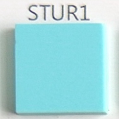 STUR1