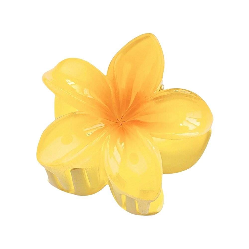 Giallo e arancione, taglia piccola da 4 cm.