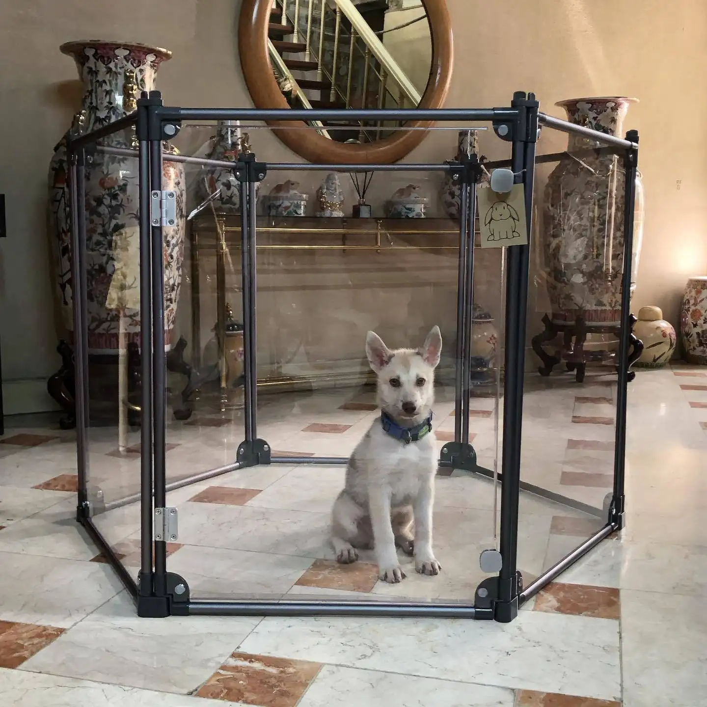 Tempat Kandang Hewan Peliharaan, Kandang Anjing Kucing Kecil Akrilik Pvc Kandang Reptil Mewah untuk Di Rumah