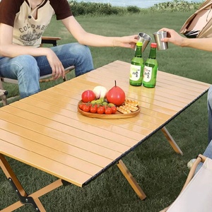 โต๊ะตั้งแคมป์พับเก็บได้ติดตั้งเร็วโต๊ะรับประทานอาหารน้ำหนักเบาโต๊ะเรียนตั้งแคมป์สำรวจทางธรณีวิทยา - Product Image 6