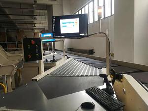 Selezionatrice di scarpe per lo smistamento di abbigliamento trasportatore di smistamento a nastro incrociato con DWS per lo smistamento dei pacchi nel mozzo di smistamento - Product Image 5